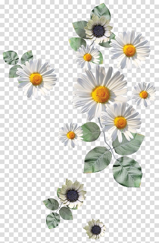 525x800 Flower Paper Drawing Icon, Antique Jewelry Decorative Icon