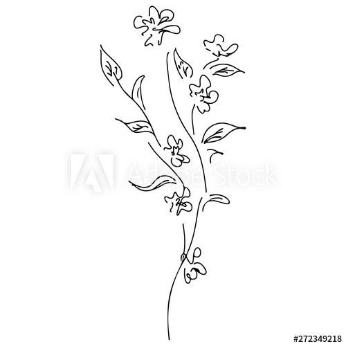 500x500 Abstract Wildflowers Outline Icon Isolated On White Background