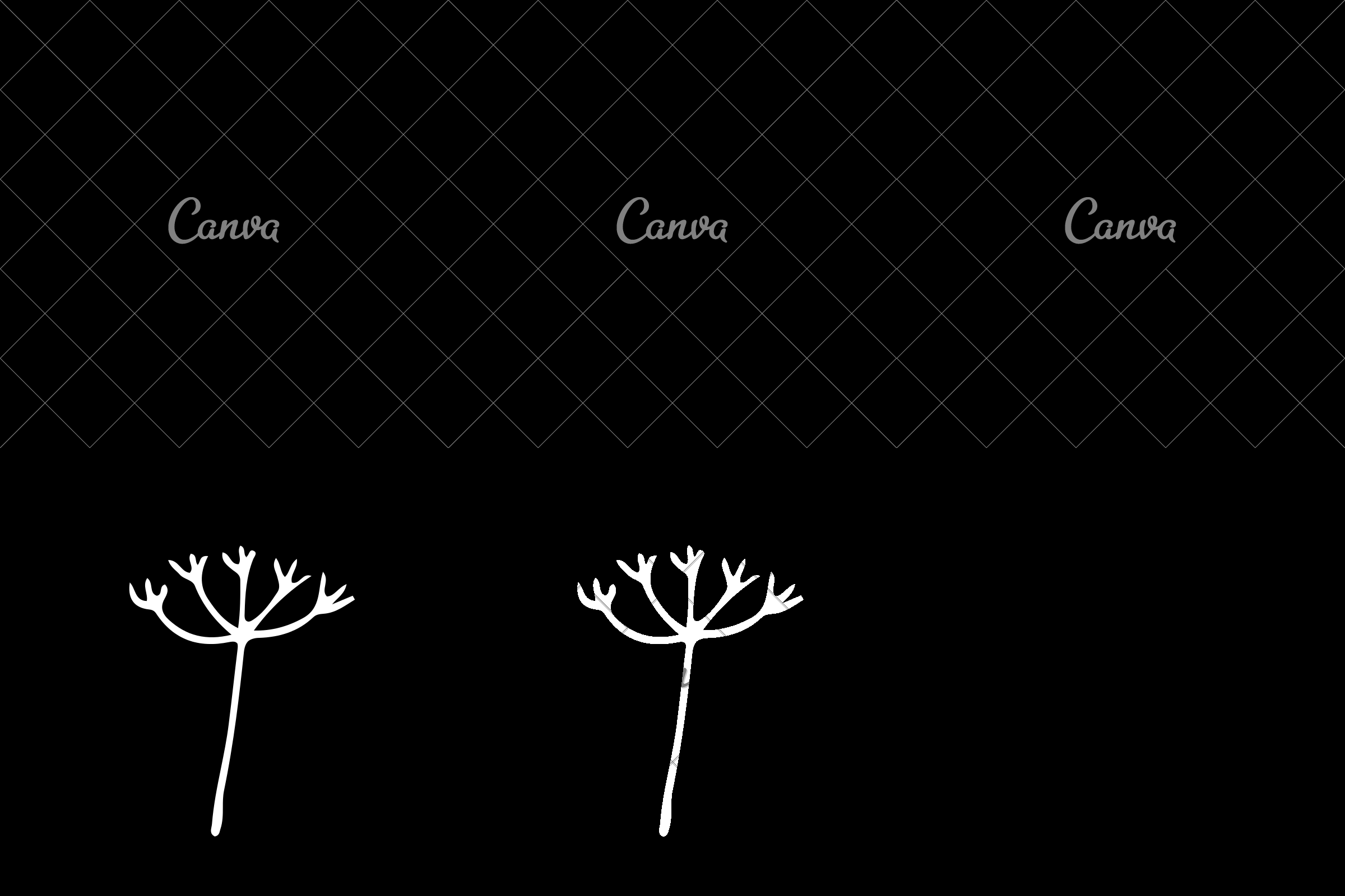 2400x1600 Wildflower Icon