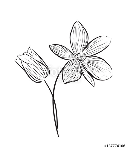 425x500 Wildflower Vector Icon Stock Image And Royalty Free Vector