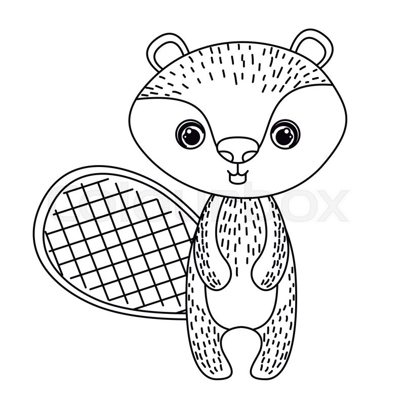 800x800 Beaver Cute Wildlife Icon Vector Stock Vector Colourbox