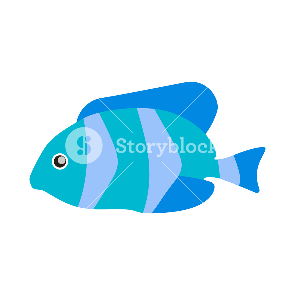 1000x1000 Fish Aquatic Vector Icon Sea Wildlife Symbol Colorful