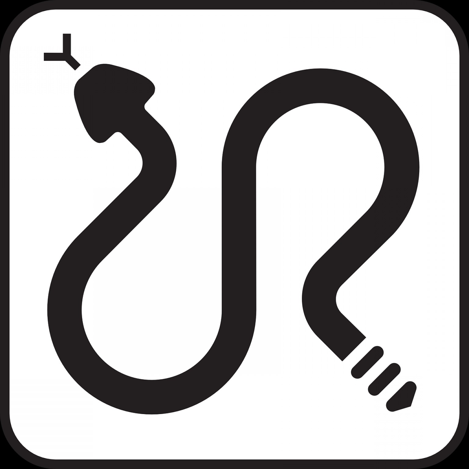 1536x1536 Rattlesnake Vector Stencil Hoodamath