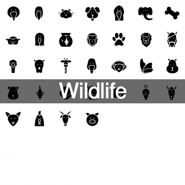 626x626 Wildlife Icon Set Vector Free Download