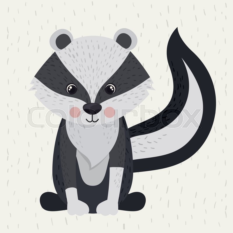 800x800 Zorrillo Cute Wildlife Icon Vector Stock Vector Colourbox
