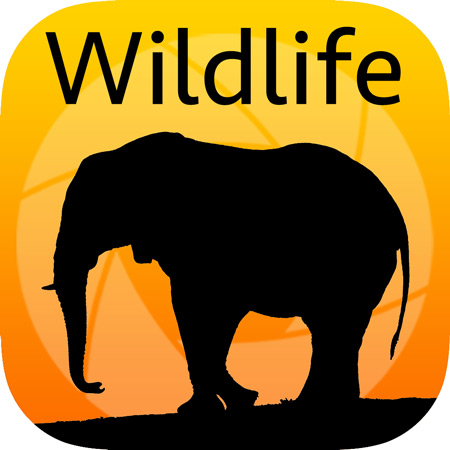 450x450 Wildlife App Icon
