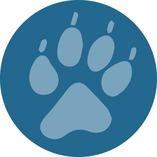 308x308 Wildlife Icon