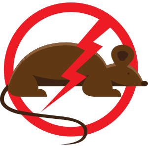 300x300 Wildlife Icon Frogg's Pest Control