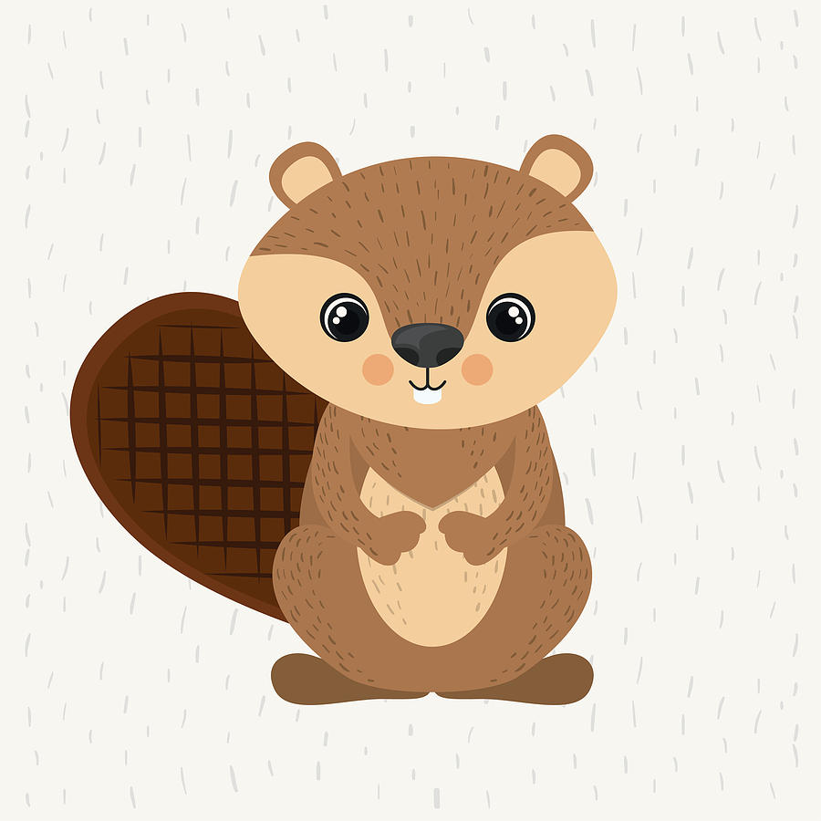 900x900 Beaver Cute Wildlife Icon
