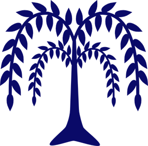 300x297 Willow Png, Clip Art For Web