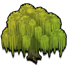 256x256 Willow Tree Png Images In Collection