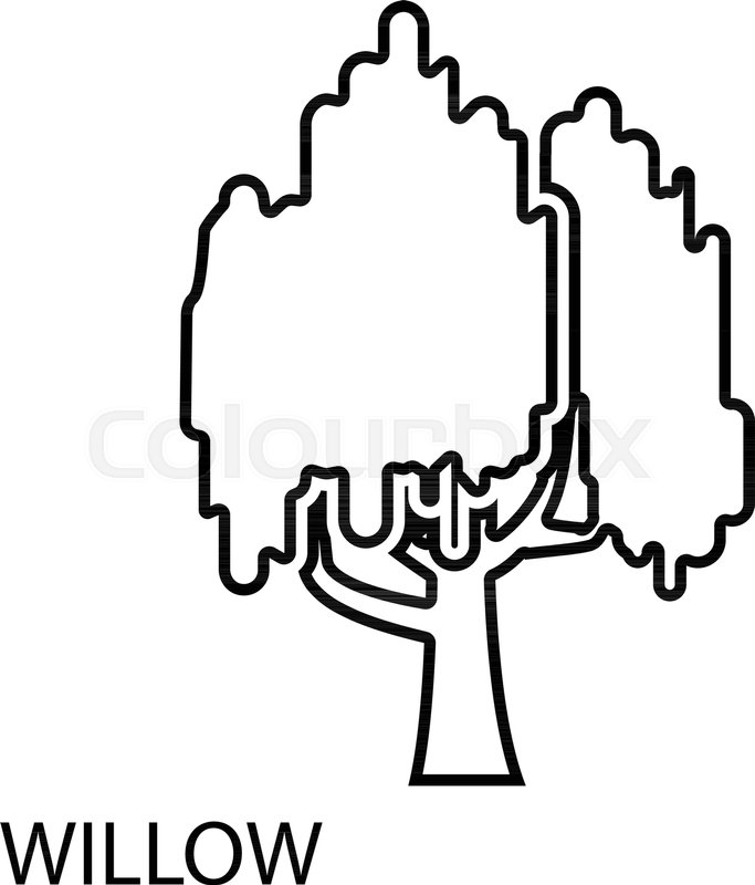 683x800 Willow Icon Outline Illustration Of Stock Vector Colourbox