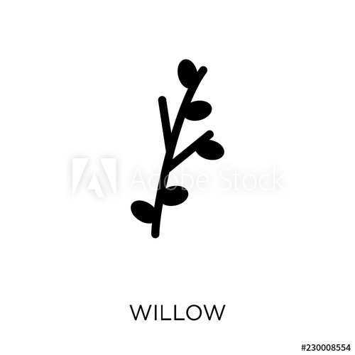 500x500 Willow Icon Willow Symbol Design From Nature Collection