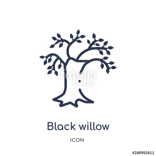 500x500 Black Willow Icon From Nature Outline Collection Thin Line Black