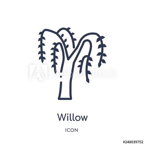 500x500 Willow Icon From Nature Outline Collection Thin Line Willow Icon