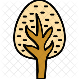 256x256 Tree Tree, Oak, Shrub, Ash, Weeping Willow, Icon Of Colored