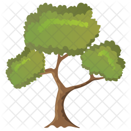 Willow Tree Icon
