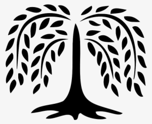 300x246 Willow Tree Png, Transparent Willow Tree Png Image Free Download