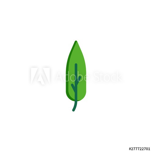 500x500 Willow Tree Leaf Flat Icon, Vector Sign, Willow Leaf Colorful