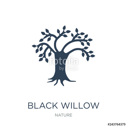 500x500 Black Willow Icon Vector On White Background, Black Willow Trend