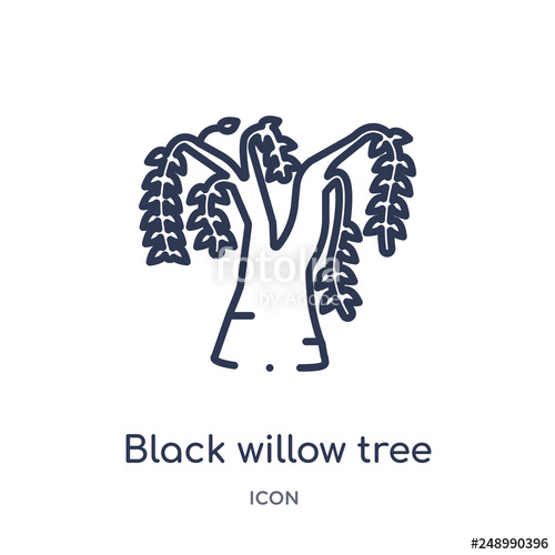 500x500 Black Willow Tree Icon From Nature Outline Collection Thin Line