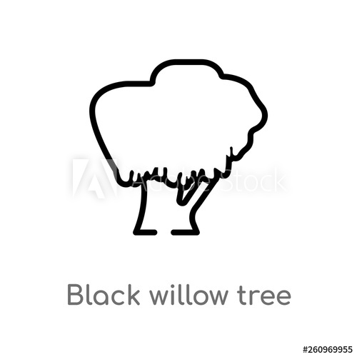 500x500 Outline Black Willow Tree Vector Icon Isolated Black Simple Line