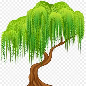 300x300 Green Willow Tree Near Lake Isometric D Icon Gm Soidergi