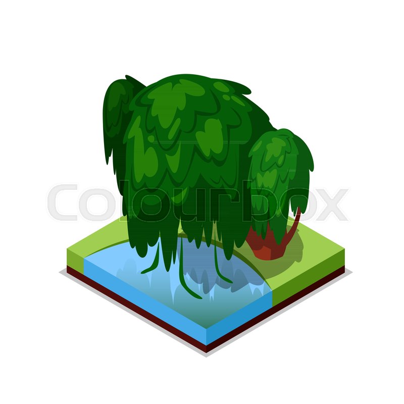 800x800 Green Willow Tree Isometric Icon Stock Vector Colourbox