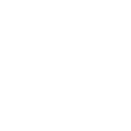 256x256 White Windmill Icon