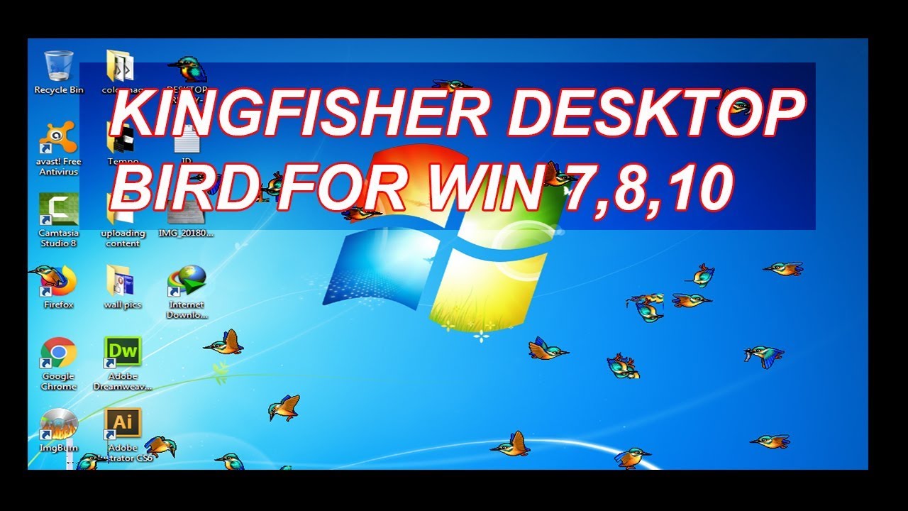 1280x720 Kingfisher Desktop Bird Exe For Win Free Download Updated
