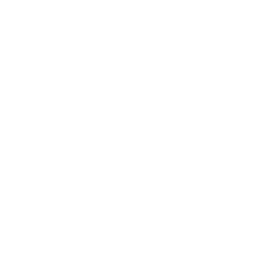 256x256 Free White Windows Icon