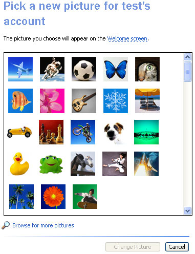 381x496 Windows Xp User Account Icon Sports Images