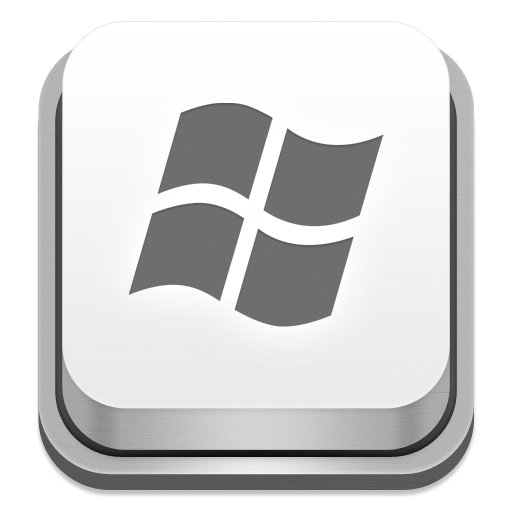 Windows Button Icon
