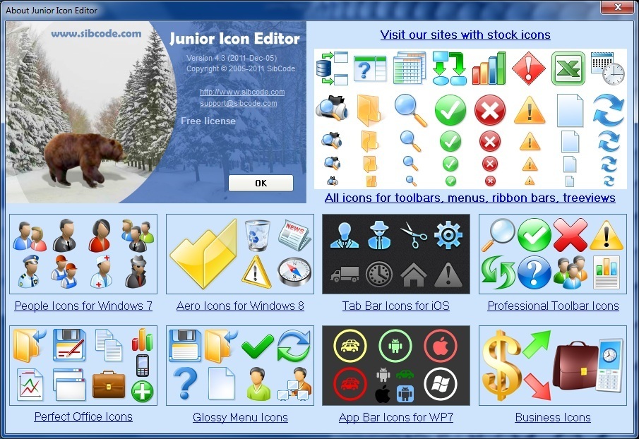 905x622 Junior Icon Editor Download