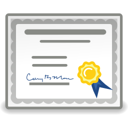 256x256 Free Application Certificate Icon
