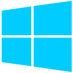 256x256 Windows Icon