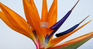 320x170 How To Create Icons For Windows