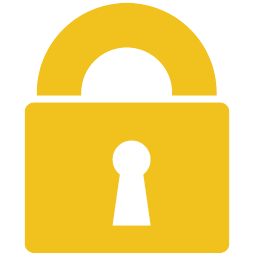 Windows Lock Icon