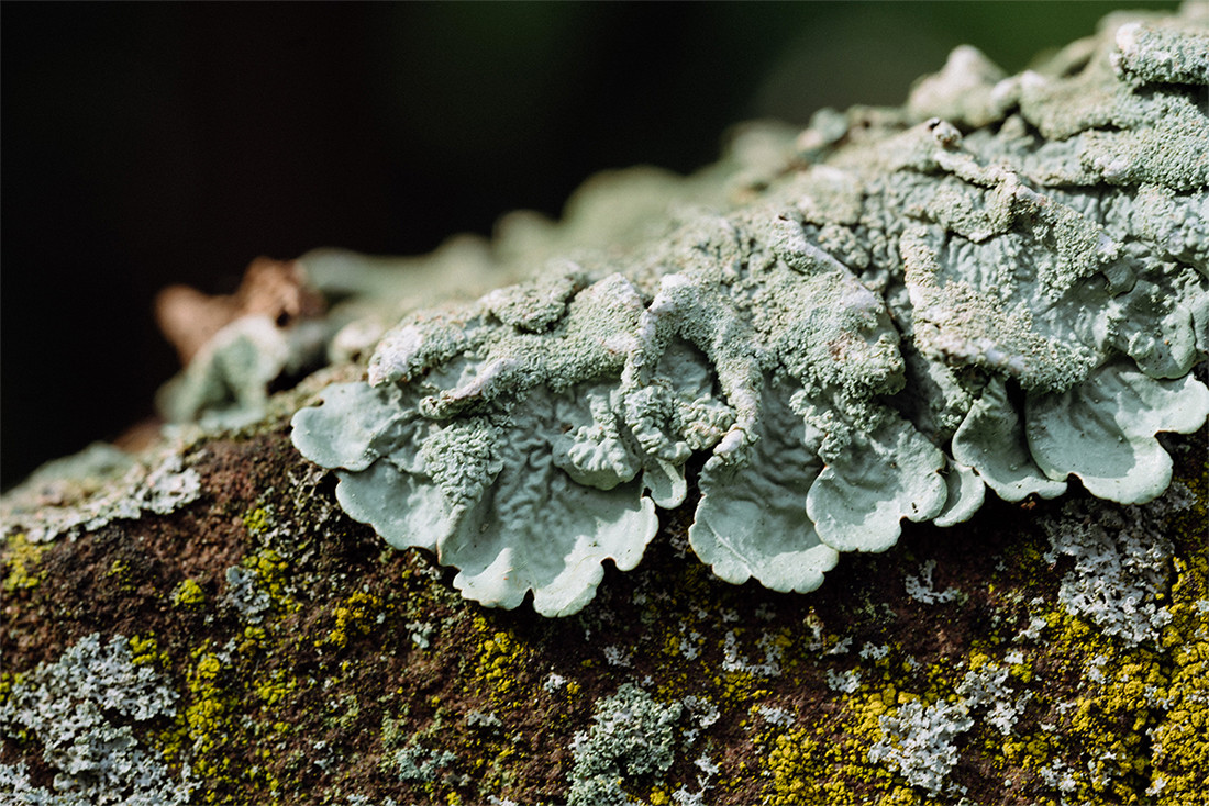 1100x734 How To Manage The Start Menu In The Windows Anniversary Update