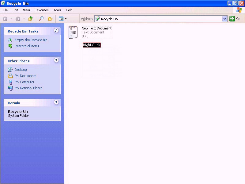 800x600 Windows Xp Recycle Bin