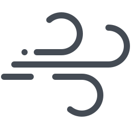256x256 Windy Weather Icon
