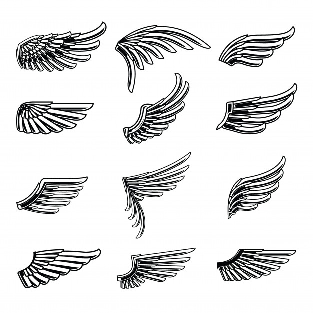 626x626 Vintage Wings Icon Set Isolated Vector Premium Download