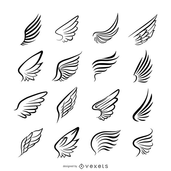 570x570 Wings Icon Logo Template Collection