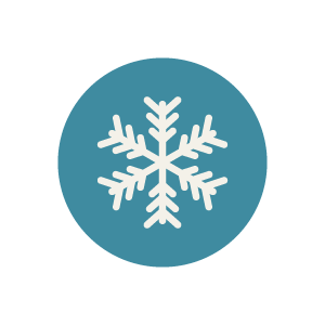 300x300 Winter Icon