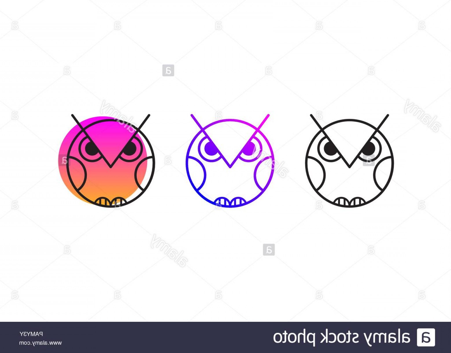 1560x1221 Owl Logo Owl Icon Wisdom Symbol Abstract Geometric Line Owl