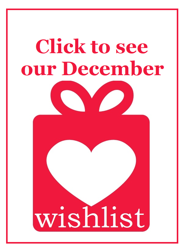 607x805 Wishlist Icon