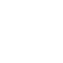 256x256 White Wolf Icon