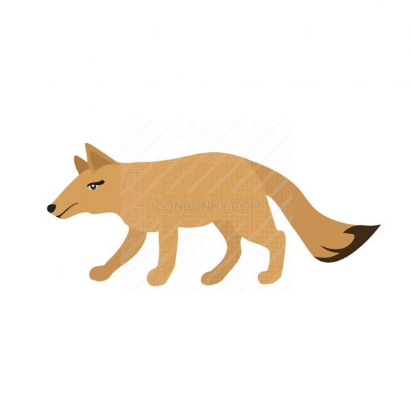 600x600 Wolf Flat Multicolor Icon