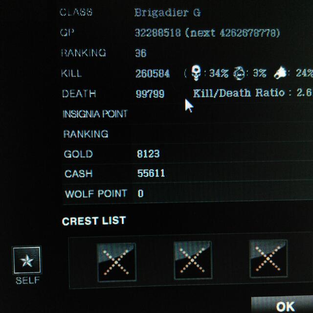 640x640 Wolfteam Account