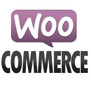 300x300 Woocommerce Icon Tj Webs